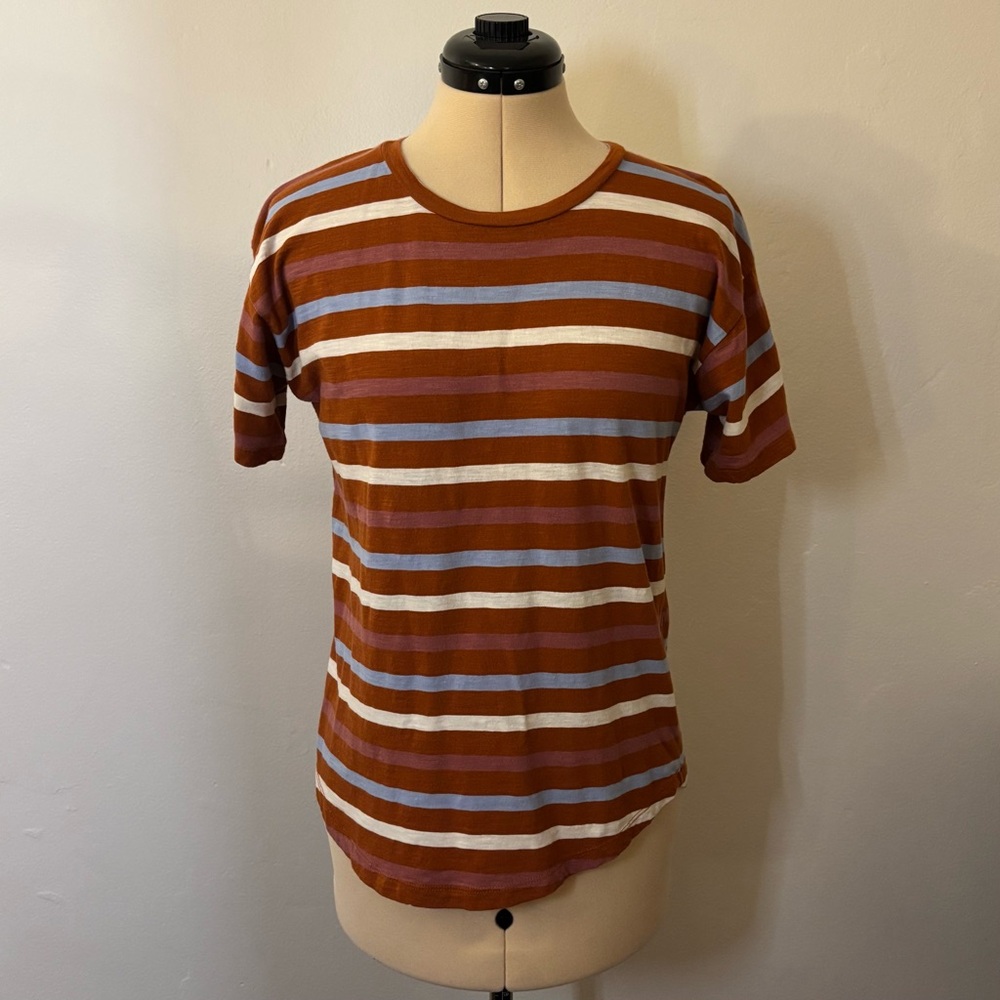 M Madewell Whisper Cotton Crewneck Tee in Birchmont Burnt Clay Stripe, normcore
